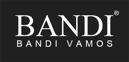 Logo BAndi